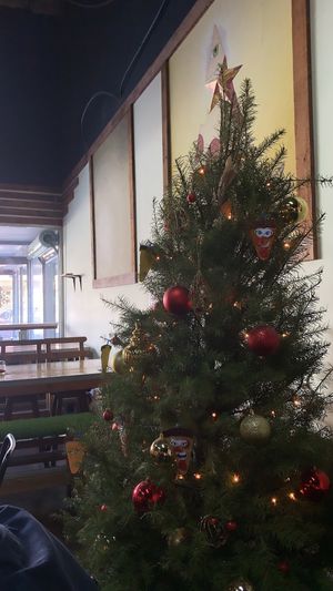 Pizza tree at Pizzaiola in Ensenada