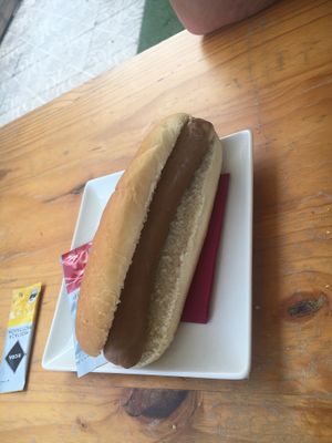 Vegan hotdog! at Cafe del Far in Salou