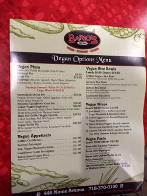 I count 23 different vegan options!  at Bario's Pizza in Staten Island