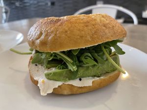 Bagel  at Fix & Repeat in Bend