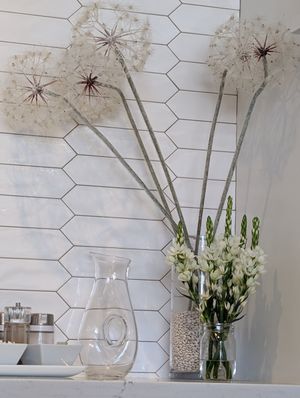 Plant Decor at Fix & Repeat in Bend