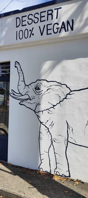  at And 유 (Yu) Cafe in Jeju