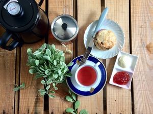 Vegan scones and fair-trade organic tea. at And 유 (Yu) Cafe in Jeju