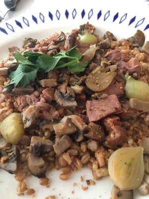 Jackfruit bourguignon at Unscripted in Durham