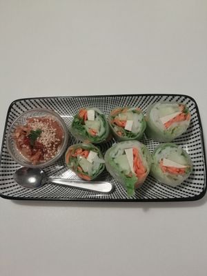 tofu summer rolls with peanut sauce at Ngon in Maribor