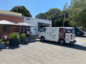 "100% Vegan" at Koshari Korner in Marrickville