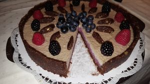 Rohveganer Kuchen ohne Zucker, ohne Mehl, (fast) ohne denaturierte Zutaten at Cafe Tomorrow in Linz Am Rhein