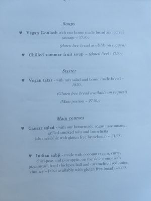 Menu soups and starter and main courses at Veganeeta Home in Balatonalmadi