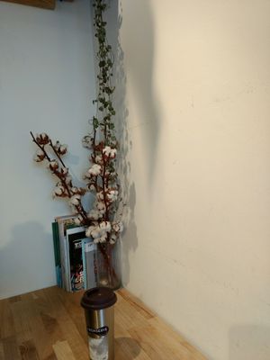 decor at kaf coffee in Glasgow