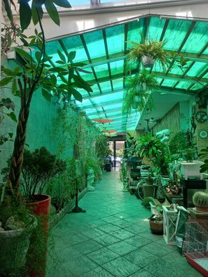  at Bambu Chinese Brasserie in Rome