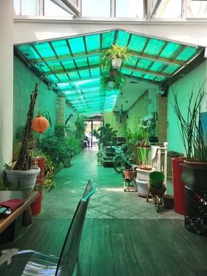  at Bambu Chinese Brasserie in Rome