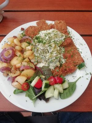 Schnitzel mit Lauch-Senfsauce at Gasthof Falkenhorst in Burig