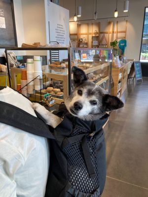  at Mighty-O Donuts - Denny Triangle in Seattle