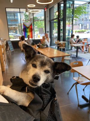  at Mighty-O Donuts - Denny Triangle in Seattle