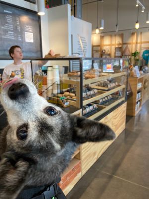  at Mighty-O Donuts - Denny Triangle in Seattle