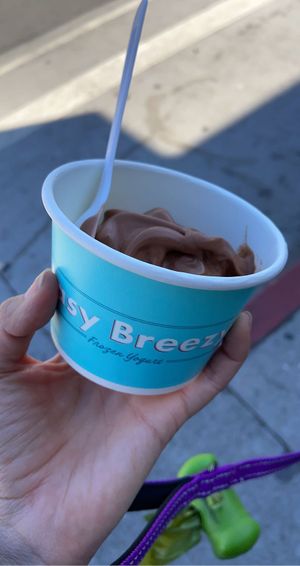 1 of the 2 vegan options was a chocolate froyo at Easy Breezy in San Francisco