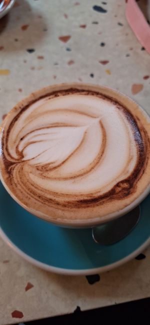 Mocha at Hunter Gatherer in Portsmouth
