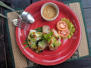 Spring rolls at Vegetal Wonder in Siem Reap