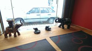 Inside at Slon Bar in Lviv