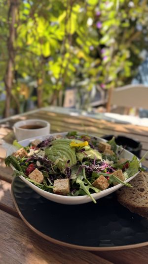   at Coolinart in Bucharest