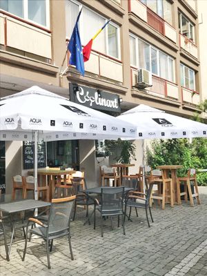 Spacious outdoor patio overlooks grassy treed area.  at Coolinart in Bucharest
