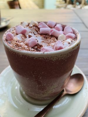 Loaded hot chocolate at Wild and Wild in Congleton
