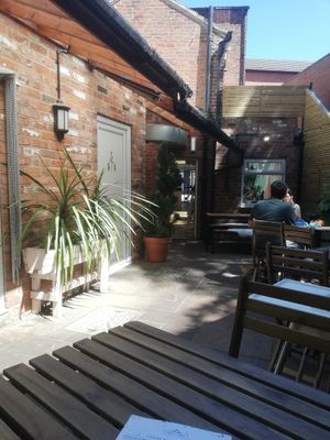 Garden at Wild and Wild in Congleton