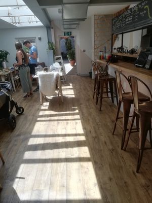 Interior at Wild and Wild in Congleton