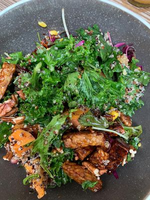 Peace + plants bowl  at Wild and Wild in Congleton