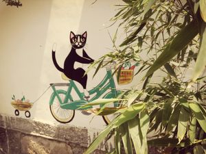   at Fanye SuShi in Dali