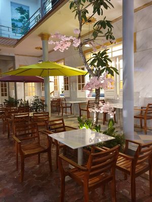 Garden at Loving Hut Amoura in Tan Thien