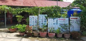 Beachside Tacos at Beachside Tacos in Kep