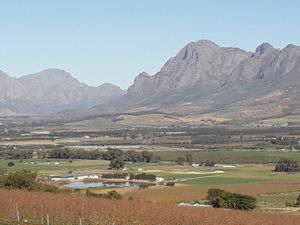 Our vegan experiences of the Cape Town wine lands are not only about the finest food and wine, but take in some of the most stunning views in Africa. at Generous Earth Vegan Tours in Camps Bay