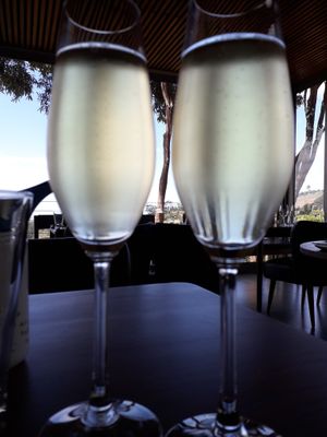 We sample some of the best wines South Africa has to offer on our vegan experiences of the Cape Town wine lands. at Generous Earth Vegan Tours in Camps Bay