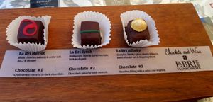 Chocolate and wine pairing at Generous Earth Vegan Tours in Camps Bay