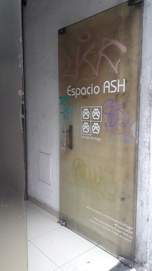 The entrance is easy to miss! at Espacio ASH in Montevideo