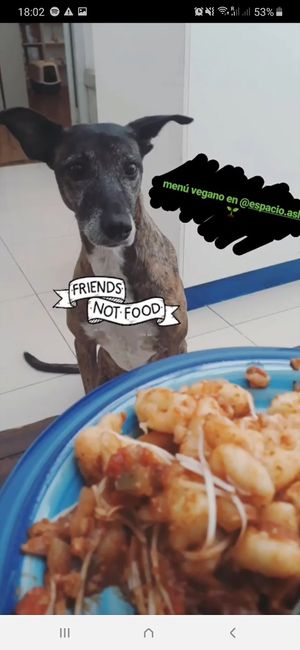 Almuerzo en buena compañía. at Espacio ASH in Montevideo