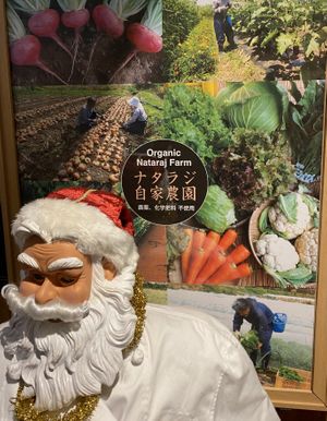 Farm to Table— delivered by Santa?!? at Nataraj - Harajuku Omotesando in Tokyo