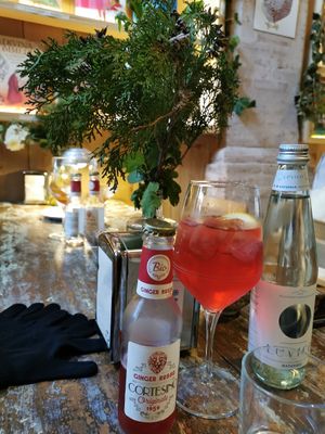 Sort of spritz at Sullaluna in Venice