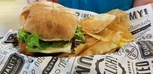 Chicken sandwich at Birch Bark Eatery in Glen Falls