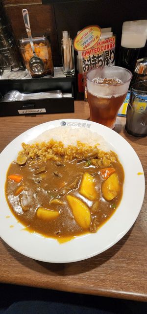  at CoCo Ichibanya - JR Akihabara in Tokyo