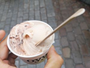 Vegan ice cream at Oyya in Bruges