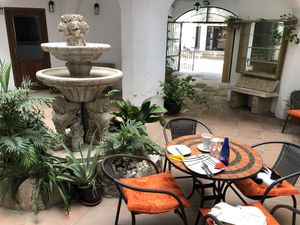 Spot the cat :) at Mango Cafe in Mijas