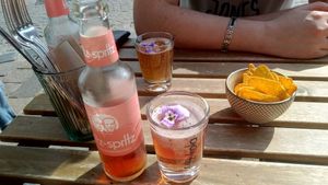 Fritz-Spritz Sparkling Rhubarb Bio.  at Blackbird in Bruges