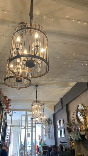   at Blackbird in Bruges