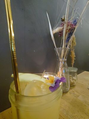  at Blackbird in Bruges