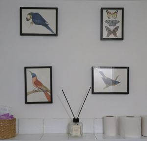  at Blackbird in Bruges