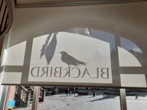 DribkcalB at Blackbird in Bruges