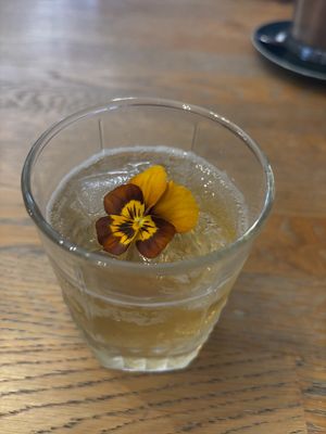   at Blackbird in Bruges