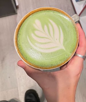  at Blackbird in Bruges